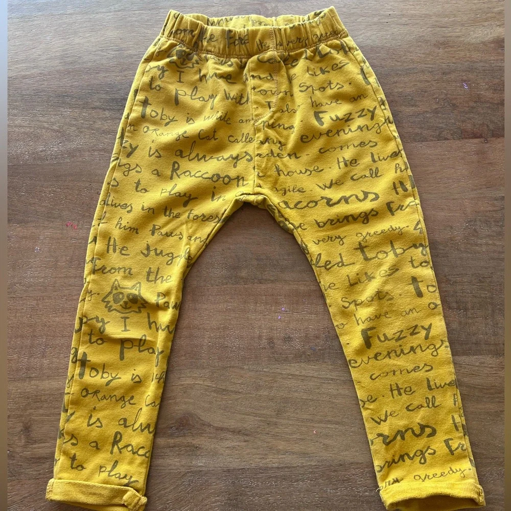 Zara pants - Picture 1 of 4